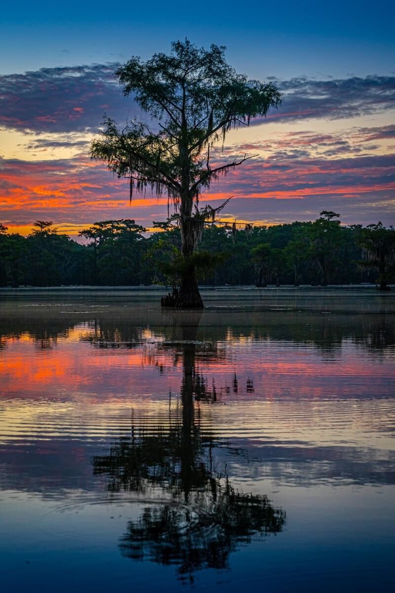 caddo4